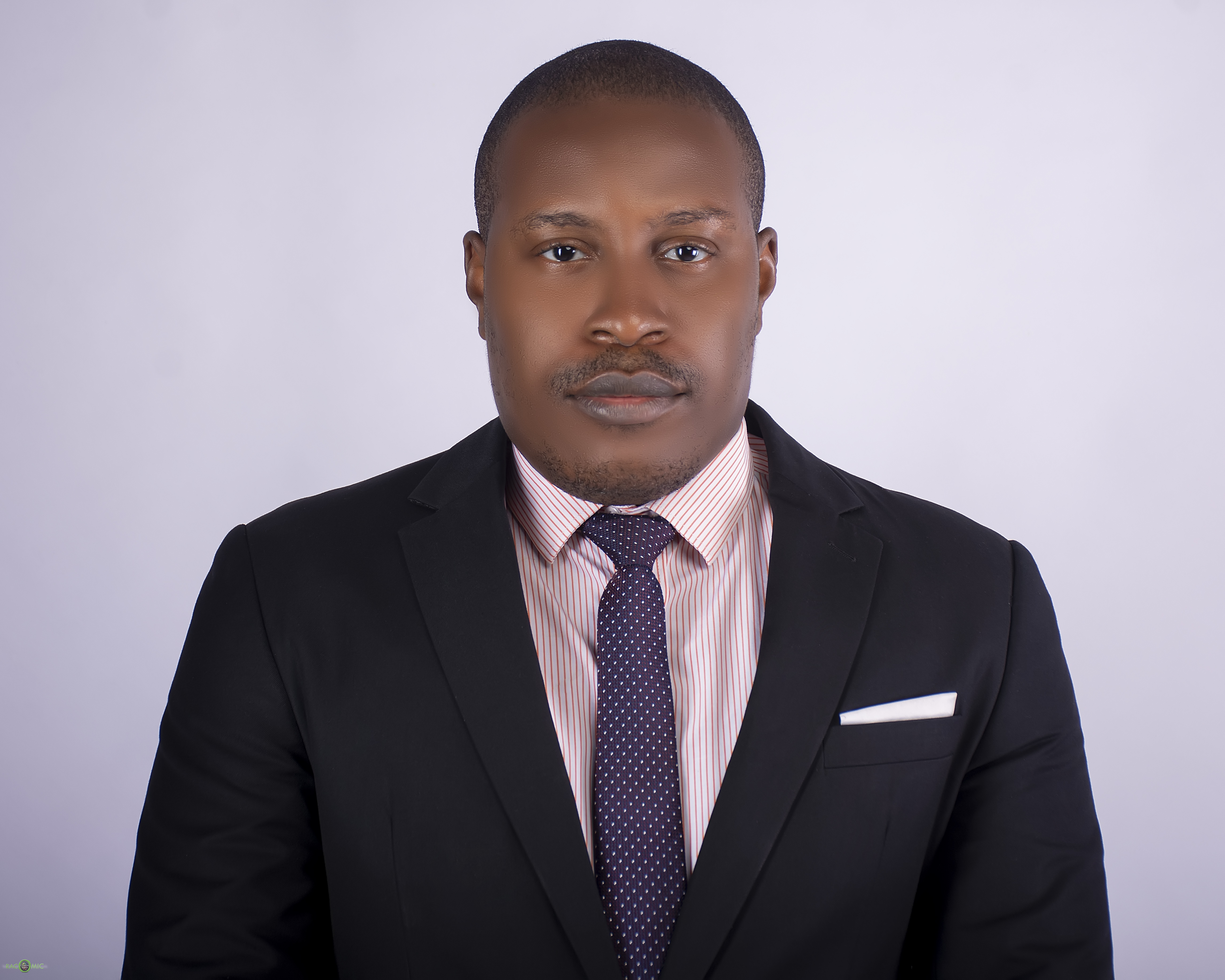 Emmanuel Ifeanyi Ogbuka, Esq., Principal Counsel at I. Ogbuka Legal